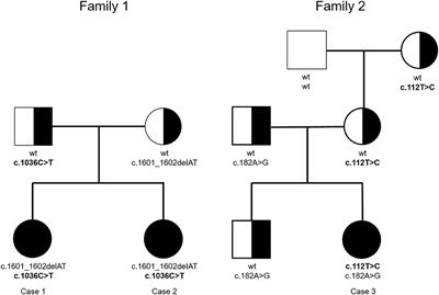 Novel Compound Heterozygous Mutations in Two Families With Bernard–Soulier Syndrome